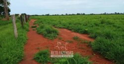 Fazenda à Venda 7.695 hectares de Dupla Aptidão no Sul do Tocantins Fazenda à Venda 7.695 hectares de Dupla Aptidão no Sul do Tocantins