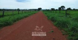 Fazenda à Venda 7.695 hectares de Dupla Aptidão no Sul do Tocantins Fazenda à Venda 7.695 hectares de Dupla Aptidão no Sul do Tocantins