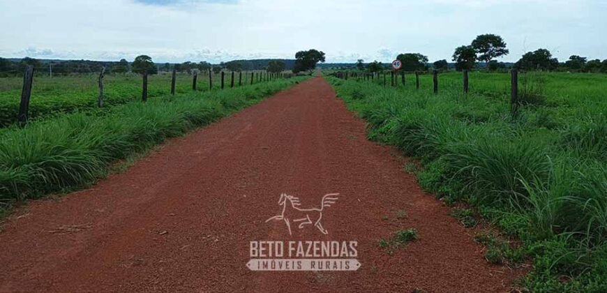 Fazenda à Venda 7.695 hectares de Dupla Aptidão no Sul do Tocantins Fazenda à Venda 7.695 hectares de Dupla Aptidão no Sul do Tocantins