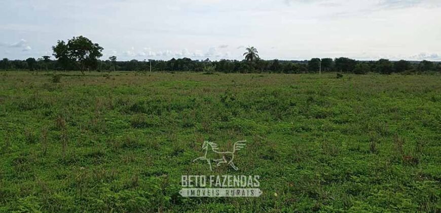 Fazenda à Venda 7.695 hectares de Dupla Aptidão no Sul do Tocantins Fazenda à Venda 7.695 hectares de Dupla Aptidão no Sul do Tocantins