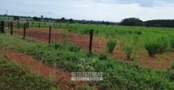 Fazenda à Venda 7.695 hectares de Dupla Aptidão no Sul do Tocantins Fazenda à Venda 7.695 hectares de Dupla Aptidão no Sul do Tocantins