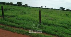 Fazenda à Venda 7.695 hectares de Dupla Aptidão no Sul do Tocantins Fazenda à Venda 7.695 hectares de Dupla Aptidão no Sul do Tocantins