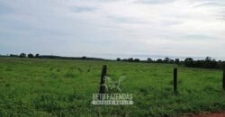 Fazenda à Venda 7.695 hectares de Dupla Aptidão no Sul do Tocantins Fazenda à Venda 7.695 hectares de Dupla Aptidão no Sul do Tocantins