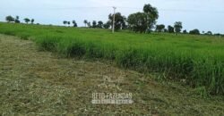 Fazenda à Venda 7.695 hectares de Dupla Aptidão no Sul do Tocantins Fazenda à Venda 7.695 hectares de Dupla Aptidão no Sul do Tocantins