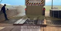 Mega Fazenda à Venda 13.800 Has Soja e Arroz Estrutura Completa | Região do Xingu/ MT