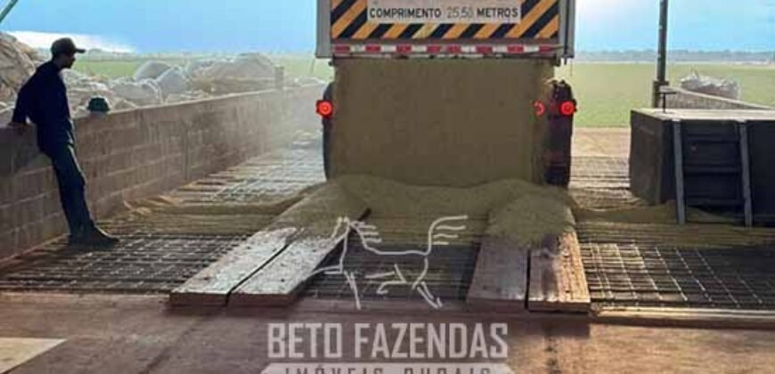 Mega Fazenda à Venda 13.800 Has Soja e Arroz Estrutura Completa | Região do Xingu/ MT