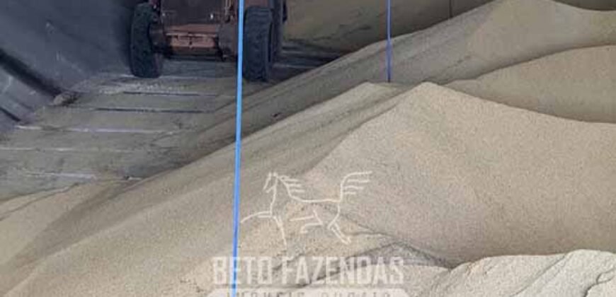 Mega Fazenda à Venda 13.800 Has Soja e Arroz Estrutura Completa | Região do Xingu/ MT