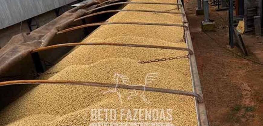 Mega Fazenda à Venda 13.800 Has Soja e Arroz Estrutura Completa | Região do Xingu/ MT