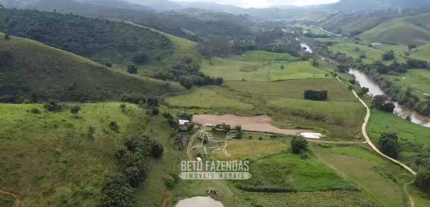 Fazenda Completa à Venda 217 hectares “Porteira Fechada” Plantação de Eucalípto | Rio Preto/ MG