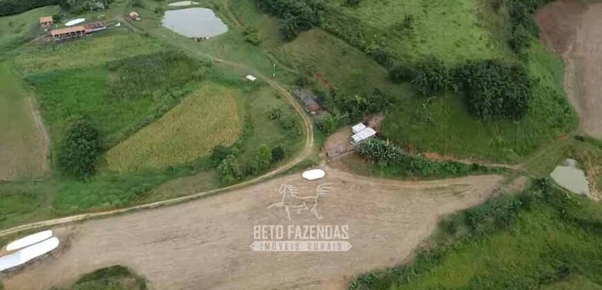 Fazenda Completa à Venda 217 hectares “Porteira Fechada” Plantação de Eucalípto | Rio Preto/ MG