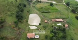 Fazenda Completa à Venda 217 hectares “Porteira Fechada” Plantação de Eucalípto | Rio Preto/ MG