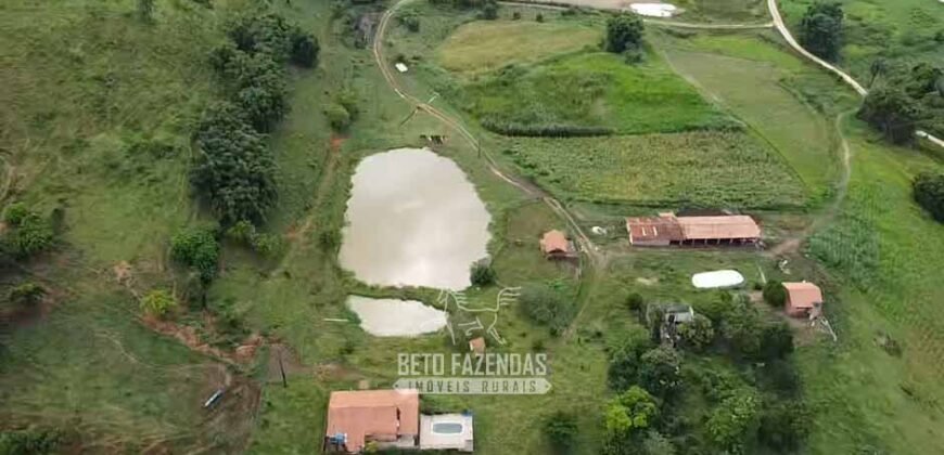 Fazenda Completa à Venda 217 hectares “Porteira Fechada” Plantação de Eucalípto | Rio Preto/ MG