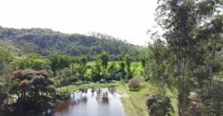 Fazenda Completa à Venda 217 hectares “Porteira Fechada” Plantação de Eucalípto | Rio Preto/ MG