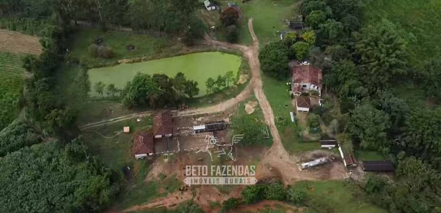 Fazenda Completa à Venda 217 hectares “Porteira Fechada” Plantação de Eucalípto | Rio Preto/ MG