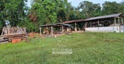 Fazenda Completa à Venda 217 hectares “Porteira Fechada” Plantação de Eucalípto | Rio Preto/ MG