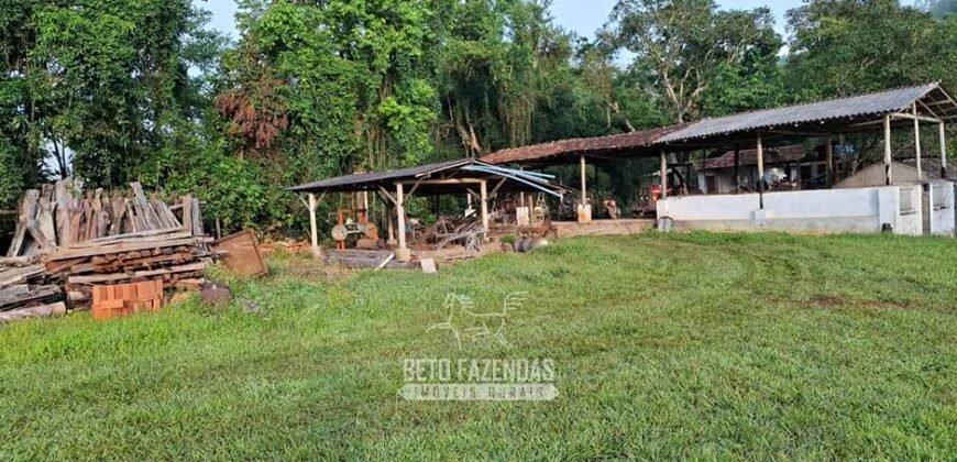 Fazenda Completa à Venda 217 hectares “Porteira Fechada” Plantação de Eucalípto | Rio Preto/ MG
