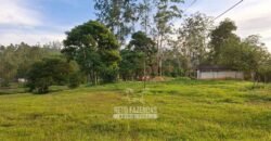 Fazenda Completa à Venda 217 hectares “Porteira Fechada” Plantação de Eucalípto | Rio Preto/ MG