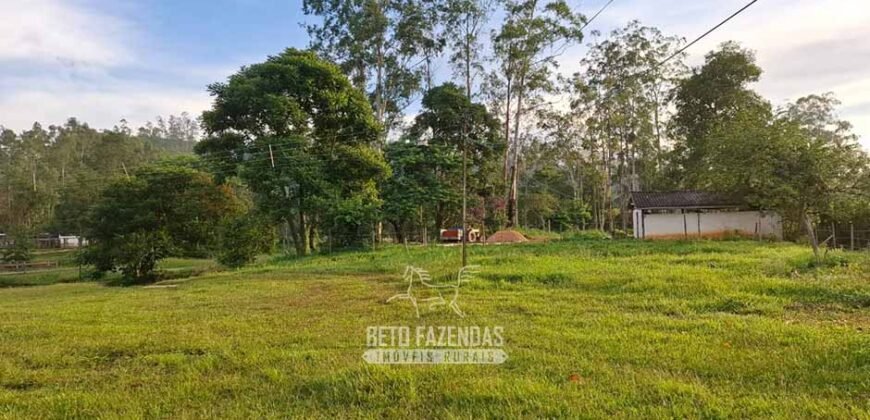Fazenda Completa à Venda 217 hectares “Porteira Fechada” Plantação de Eucalípto | Rio Preto/ MG