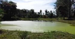 Fazenda Completa à Venda 217 hectares “Porteira Fechada” Plantação de Eucalípto | Rio Preto/ MG