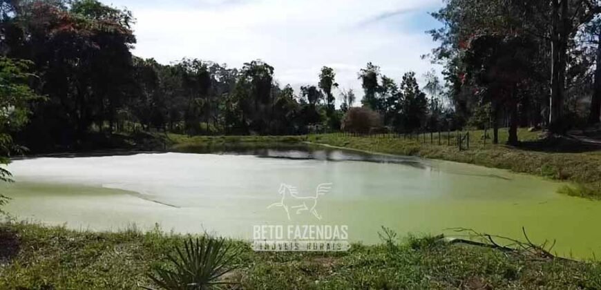 Fazenda Completa à Venda 217 hectares “Porteira Fechada” Plantação de Eucalípto | Rio Preto/ MG