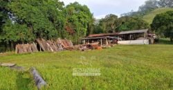 Fazenda Completa à Venda 217 hectares “Porteira Fechada” Plantação de Eucalípto | Rio Preto/ MG