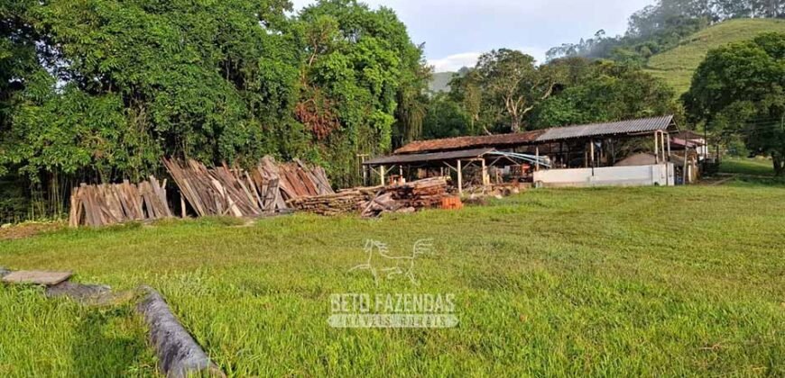 Fazenda Completa à Venda 217 hectares “Porteira Fechada” Plantação de Eucalípto | Rio Preto/ MG