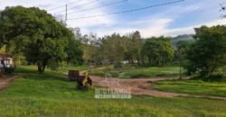 Fazenda Completa à Venda 217 hectares “Porteira Fechada” Plantação de Eucalípto | Rio Preto/ MG