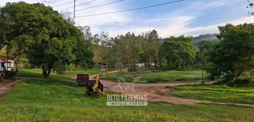 Fazenda Completa à Venda 217 hectares “Porteira Fechada” Plantação de Eucalípto | Rio Preto/ MG