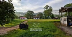 Fazenda Completa à Venda 217 hectares “Porteira Fechada” Plantação de Eucalípto | Rio Preto/ MG