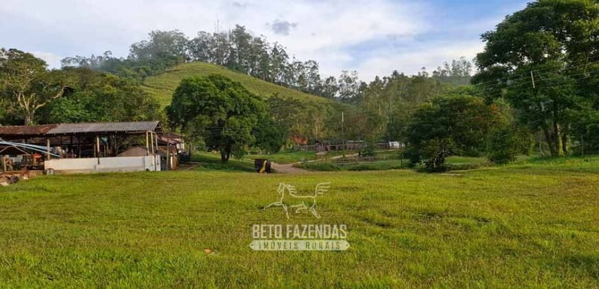 Fazenda Completa à Venda 217 hectares “Porteira Fechada” Plantação de Eucalípto | Rio Preto/ MG
