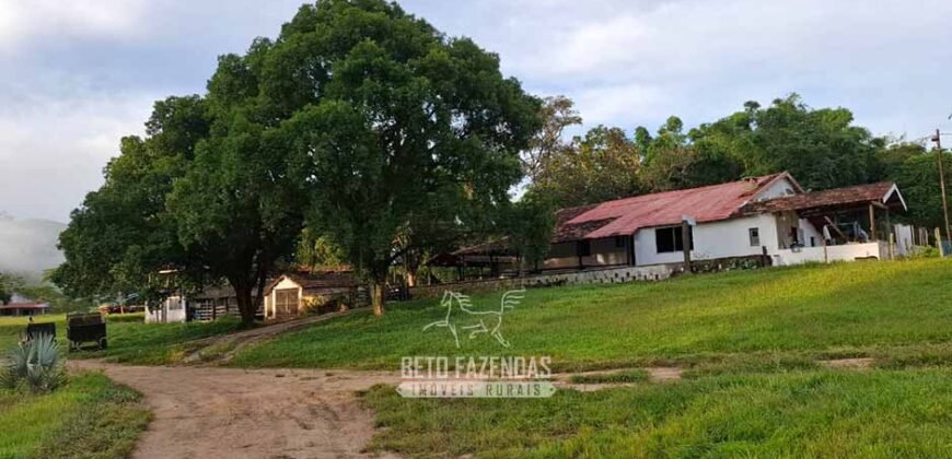 Fazenda Completa à Venda 217 hectares “Porteira Fechada” Plantação de Eucalípto | Rio Preto/ MG