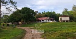 Fazenda Completa à Venda 217 hectares “Porteira Fechada” Plantação de Eucalípto | Rio Preto/ MG