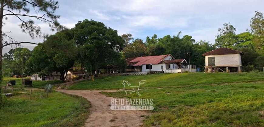 Fazenda Completa à Venda 217 hectares “Porteira Fechada” Plantação de Eucalípto | Rio Preto/ MG