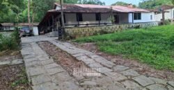 Fazenda Completa à Venda 217 hectares “Porteira Fechada” Plantação de Eucalípto | Rio Preto/ MG