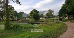 Fazenda Completa à Venda 217 hectares “Porteira Fechada” Plantação de Eucalípto | Rio Preto/ MG