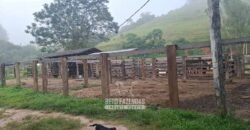 Fazenda Completa à Venda 217 hectares “Porteira Fechada” Plantação de Eucalípto | Rio Preto/ MG
