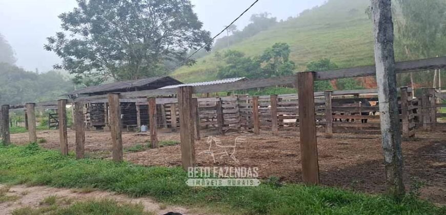 Fazenda Completa à Venda 217 hectares “Porteira Fechada” Plantação de Eucalípto | Rio Preto/ MG