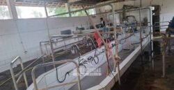 Fazenda Completa à Venda 217 hectares “Porteira Fechada” Plantação de Eucalípto | Rio Preto/ MG