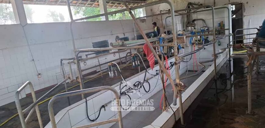 Fazenda Completa à Venda 217 hectares “Porteira Fechada” Plantação de Eucalípto | Rio Preto/ MG