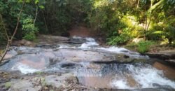 Fazenda Completa à Venda 217 hectares “Porteira Fechada” Plantação de Eucalípto | Rio Preto/ MG