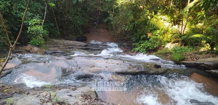 Fazenda Completa à Venda 217 hectares “Porteira Fechada” Plantação de Eucalípto | Rio Preto/ MG
