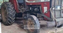 Fazenda Completa à Venda 217 hectares “Porteira Fechada” Plantação de Eucalípto | Rio Preto/ MG