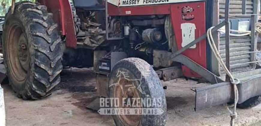 Fazenda Completa à Venda 217 hectares “Porteira Fechada” Plantação de Eucalípto | Rio Preto/ MG