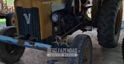 Fazenda Completa à Venda 217 hectares “Porteira Fechada” Plantação de Eucalípto | Rio Preto/ MG