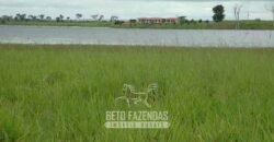 Venda de Fazendas Reunidas 111.000 hectares Um Gigante do Agronegócio no Tocantins Venda de Fazendas Reunidas 111.000 hectares Um Gigante do Agronegócio no Tocantins