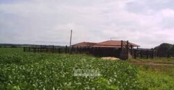 Venda de Fazendas Reunidas 111.000 hectares Um Gigante do Agronegócio no Tocantins Venda de Fazendas Reunidas 111.000 hectares Um Gigante do Agronegócio no Tocantins