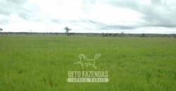 Venda de Fazendas Reunidas 111.000 hectares Um Gigante do Agronegócio no Tocantins Venda de Fazendas Reunidas 111.000 hectares Um Gigante do Agronegócio no Tocantins