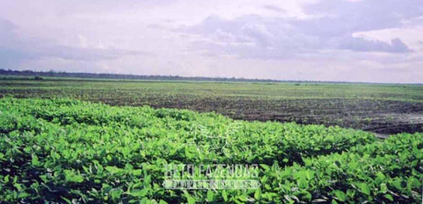 Venda de Fazendas Reunidas 111.000 hectares Um Gigante do Agronegócio no Tocantins Venda de Fazendas Reunidas 111.000 hectares Um Gigante do Agronegócio no Tocantins