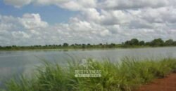 Venda de Fazendas Reunidas 111.000 hectares Um Gigante do Agronegócio no Tocantins Venda de Fazendas Reunidas 111.000 hectares Um Gigante do Agronegócio no Tocantins