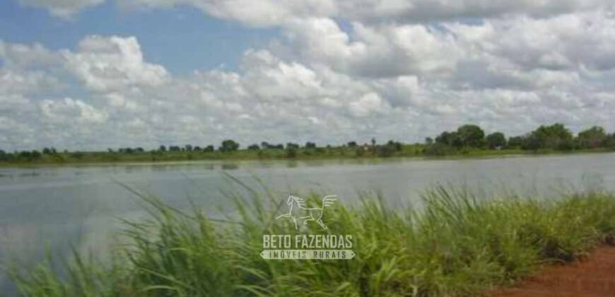 Venda de Fazendas Reunidas 111.000 hectares Um Gigante do Agronegócio no Tocantins Venda de Fazendas Reunidas 111.000 hectares Um Gigante do Agronegócio no Tocantins